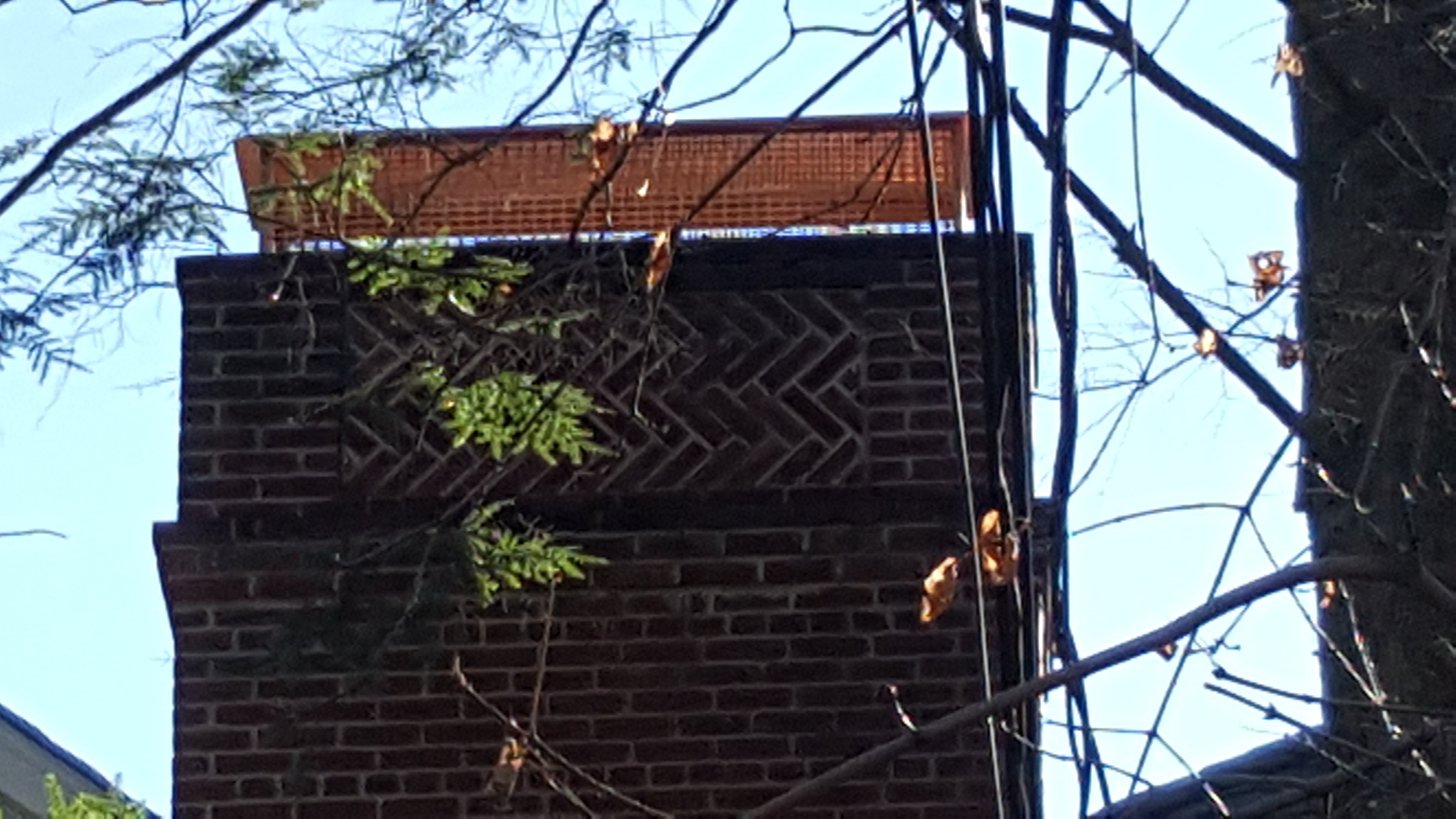 Animal-proof chimney cap protecting home in Albertson, New York